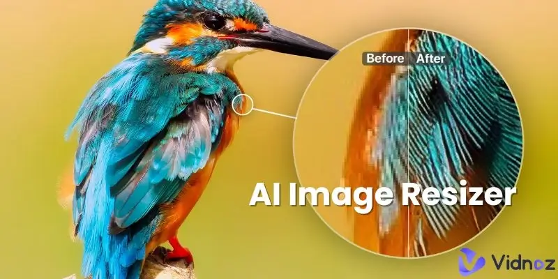 Die 5 besten AI Image Resizer: Unter allen Umständen Bild vergrößern