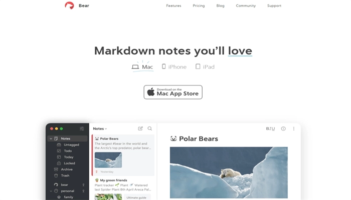 app-fuer-notizen-bear