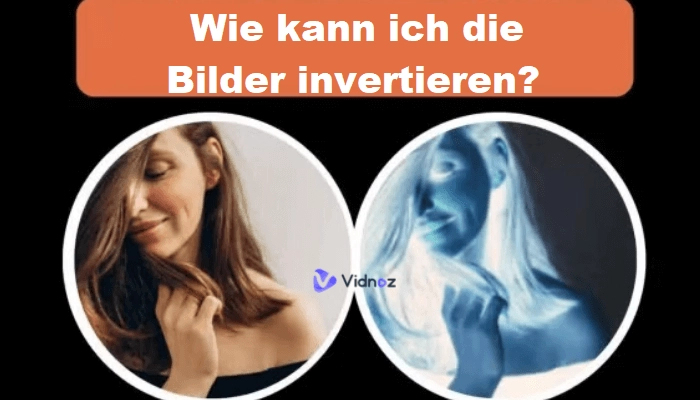 Ihr Bild invertieren mit 6 effektiven und kostenlosen Methoden