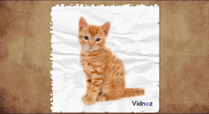 Paper Animator AI - Verwandeln Sie Ihre Bilder in Papier Animationen