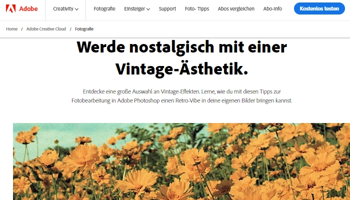 photshop vintage foto filter online