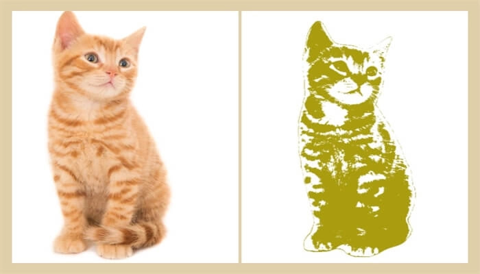 schablonen-erstellen-cadout