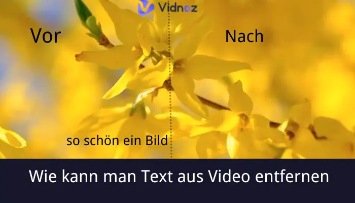 text aus video entfernen