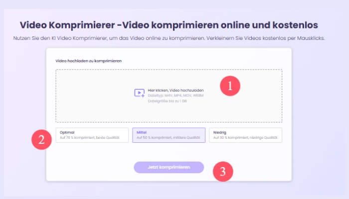 video komprimieren online mit vidnoz eins