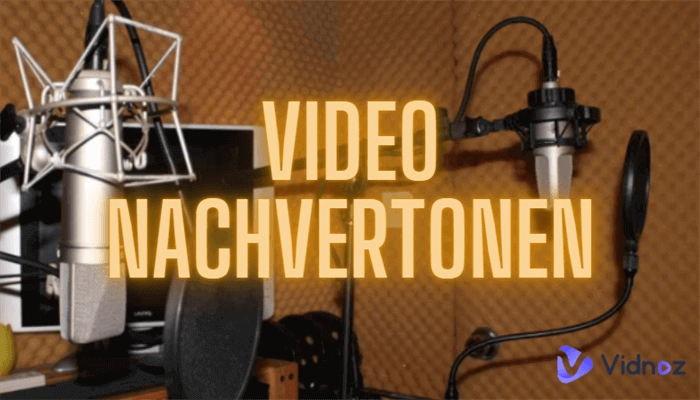 video nachvertonen