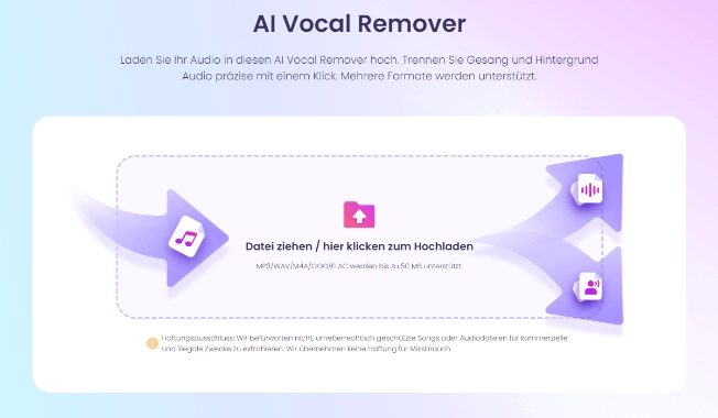 Vidnoz AI Vocal Remover