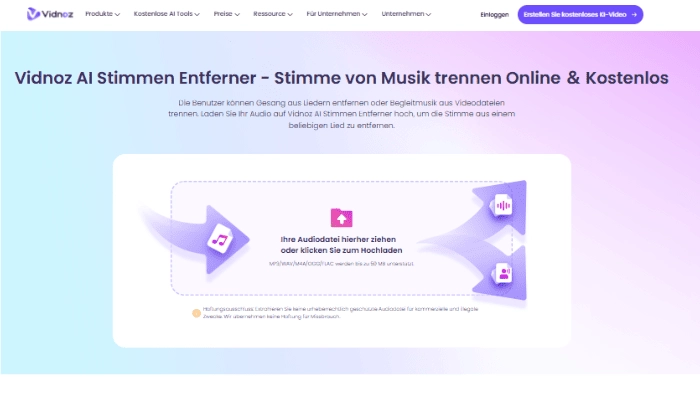 Vidnoz KI Stimmen Entferner