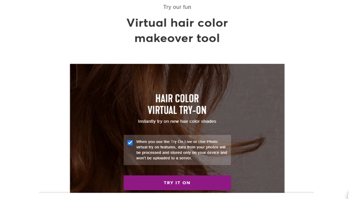 Virtual Hair Color Makeover Tool