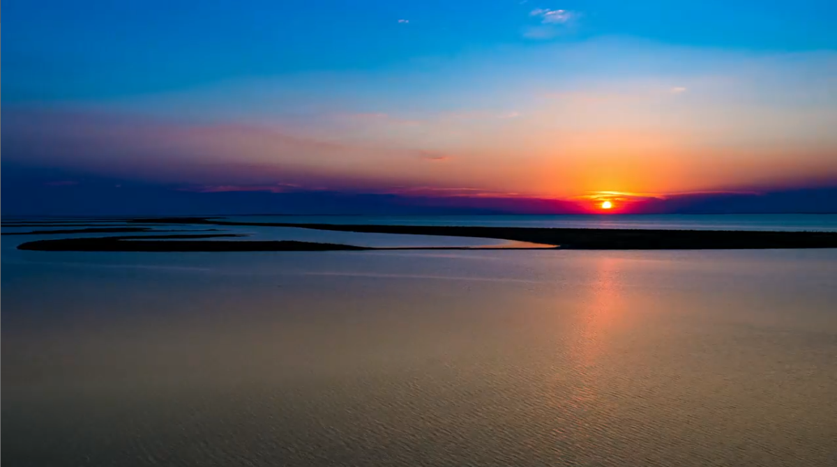 KI Bild zu Video Foto zu Video Kostenlos & Online